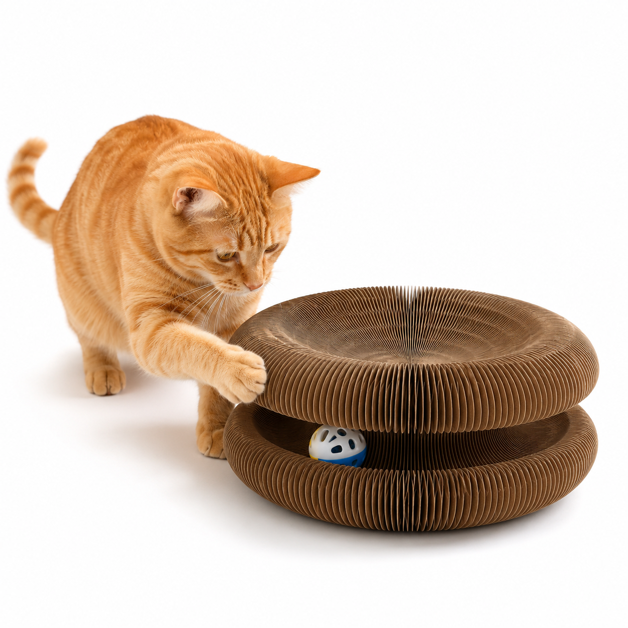 Rascador Mágico Plegable para Gatos — Acordeón Interactivo