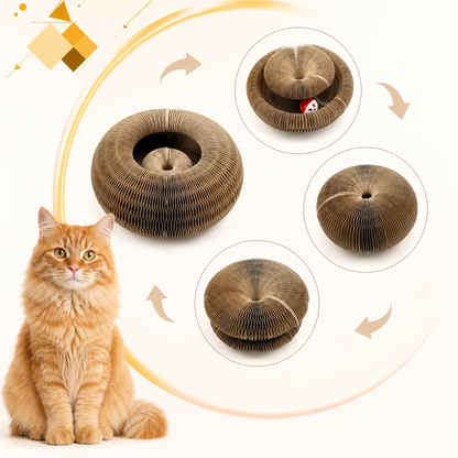 Rascador Mágico Plegable para Gatos — Acordeón Interactivo