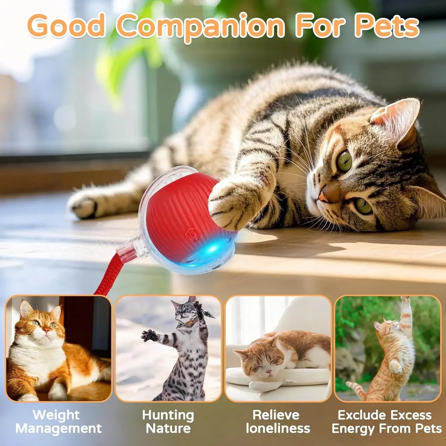 Pelota automática gato 360 grados