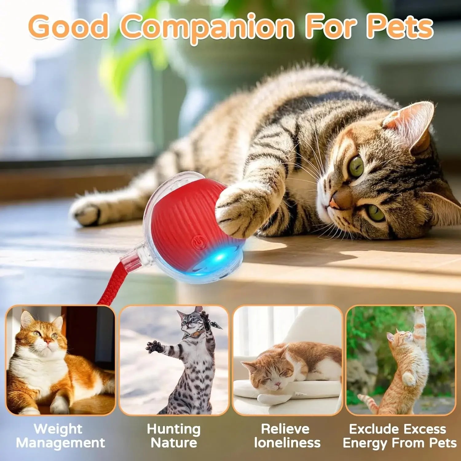 Pelota automática gato 360 grados