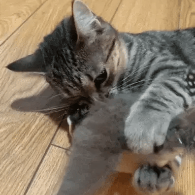 Pájaro Interactivo para Gatos — Se Mueve Solo, Aletea y Canta como uno Real